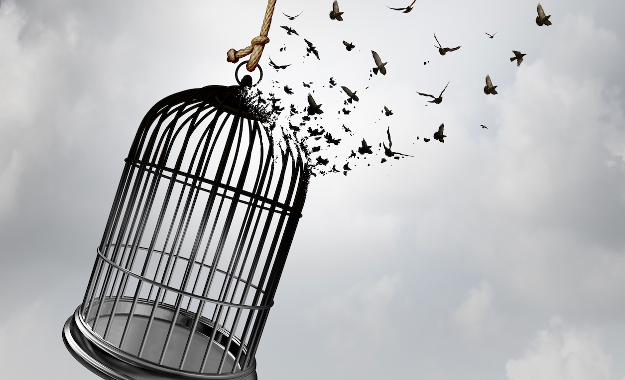 5ª Edição | A felicidade e o sentido da vida: respostas filosóficas e religiosas (Nível 2)- 15 H